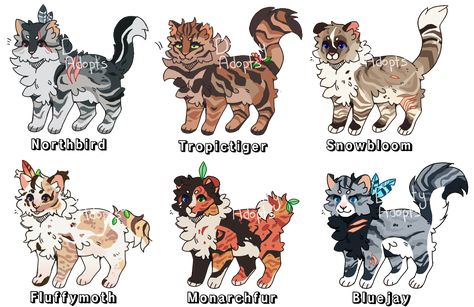 Warrior Cats Adopts, Wcue Oc Idea, Warrior Cats Skin Ideas, Warrior Cats Adoptables, Warrior Cat Ideas, Warrior Cats Ideas, Warrior Cats Oc Design, Oc Warrior, Wcue Morph Ideas