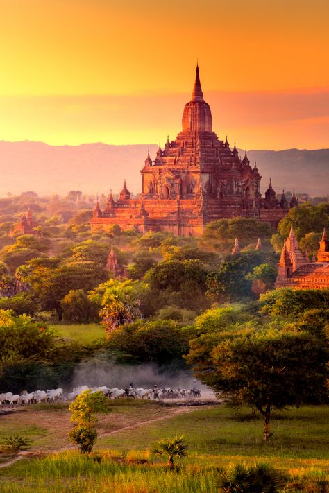 This is the ultimate list of the most beautiful places in Myanmar you should visit. World Most Beautiful Place, Inle Lake, Yangon, Places In The World, Bagan, Mandalay, Beautiful Places Nature, Most Beautiful Cities, Beautiful Places In The World