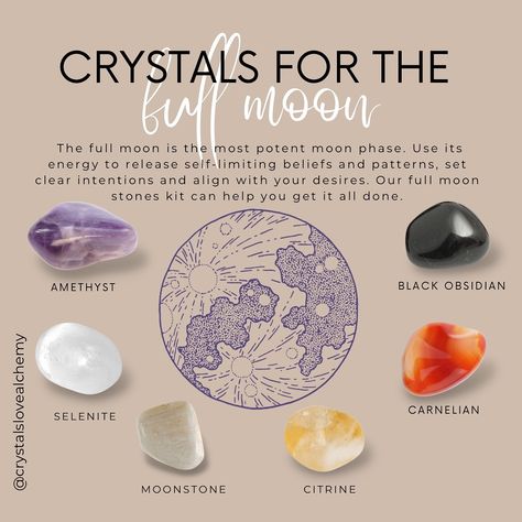 New Product Alert! 🔔 Full Moon Crystals Kit 💎 Moonstone, selenite, amethyst, citrine, black obsidian, and carnelian… all charged under tonight’s full moon. ⚡️ Available tomorrow on site. FREE sage bundle and candle included. $99/set 💎 Full Moon Oil Recipe, Full Moon Crystals, November Full Moon, Happy Full Moon, Moon Crystals, Moon Time, New Product Alert, Protection Spell, Charge Crystals