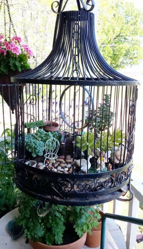 Repurposed an old birdcage into a fairy garden. Bird Cage Terrarium, Terrarium House Ideas, How To Decorate A Bird Cage Ideas, Birdcage Garden Ideas, Decorative Birdcages Ideas, Birdcage Decor Ideas Diy, Old Bird Cage Ideas Decor, Bird Cage Garden Ideas, Old Birdcages Ideas