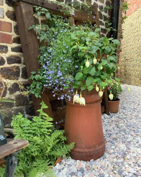 Small Magical Garden Spaces on Instagram: “Another but if retail indulgence yesterday, an old chimney pot. Its already proving useful as a base for my potted Pink Marshmallow…” Chimney Planter Ideas, Chimney Pot Planter Ideas, Chimney Pot Planter Ideas Gardens, Terracotta Pot Herb Garden, Chimney Pot Planter, Terracotta Herb Pots, Old Chimney, Small Magical Garden, Pink Marshmallow