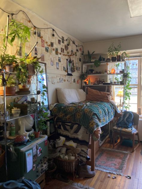 College Dorm Room Ideas Plants, Dorm Room Ideas Green, Boho Dorm Room Ideas Colleges, Purple Dorm Room Ideas, Green Dorm Room Ideas, Dorm Divider, Dorm Setup, Dorm Vibes, Room Ideas Dorm