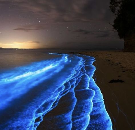 Bioluminescence Water, Bioluminescence Beach, Bioluminescent Algae, Jervis Bay, Sea Of Stars, Scenery Photography, Scenery Background, Night Scenery, Night Landscape