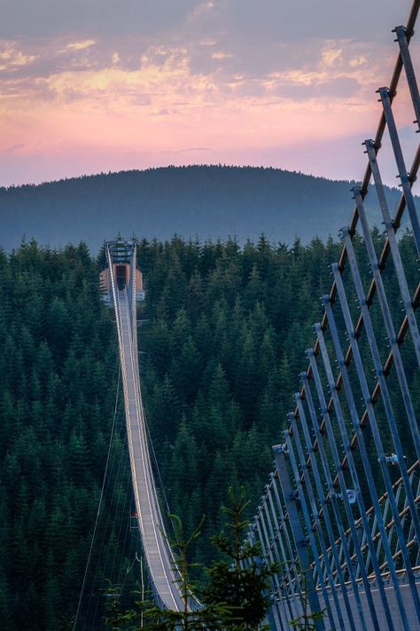 5am Club, Sky Walk, Sky Bridge, South Africa Travel, Suspension Bridge, Above The Clouds, Adventure Activities, Mountain Resort, Travel Inspo