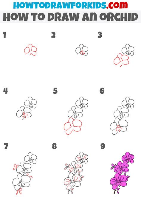 Draw Orchid Step By Step, Orkid Flower Drawing Easy, Flowers Drawing Orchids, Orchid Doodle Simple, Orchid Drawing Tutorial, Orchid Drawing Simple Easy, Orkid Drawing, How To Draw An Orchid Step By Step, Orchid Flower Drawing Simple