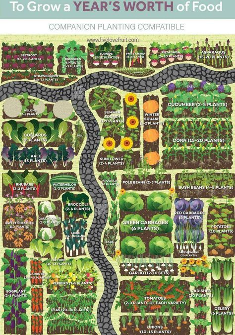 Plan Potager, Vegetable Garden Planning, Garden Plan, Alpine Plants, Garden Types, Veg Garden, Backyard Farming, Home Vegetable Garden, Vegetable Garden Design