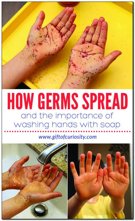 Human Body Activity: How Germs Spread - Gift of Curiosity Germs Science Experiment, My Body Science Preschool, Health Activities For Kindergarten, Germs Math Activities For Preschool, Preschool Healthy Bodies, Hand Washing Experiment, How Germs Spread Activity, Personal Care Activities For Preschool, Germ Science Experiment Preschool