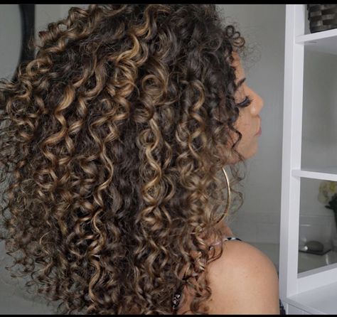 Ashy Beige Highlights On Curly Hair, Dark Brown To Light Brown Balayage Curly Hair, Brown Highlighted Curly Hair, Highlits Curly Hair, Dark Brown Hair With Highlights Curly Natural, Carmel Curly Highlights, Baliage On Curly Hair, Chestnut Brown Highlights Curly Hair, Mixed Curly Hair Dye Ideas