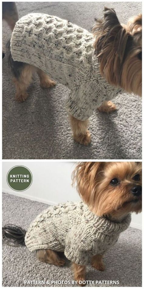 Crochet Hats, Jumper Patterns, Knitting, Crochet, Knitted Dog, Sweater Patterns, Dog Sweater, Small Dog, Food Animals