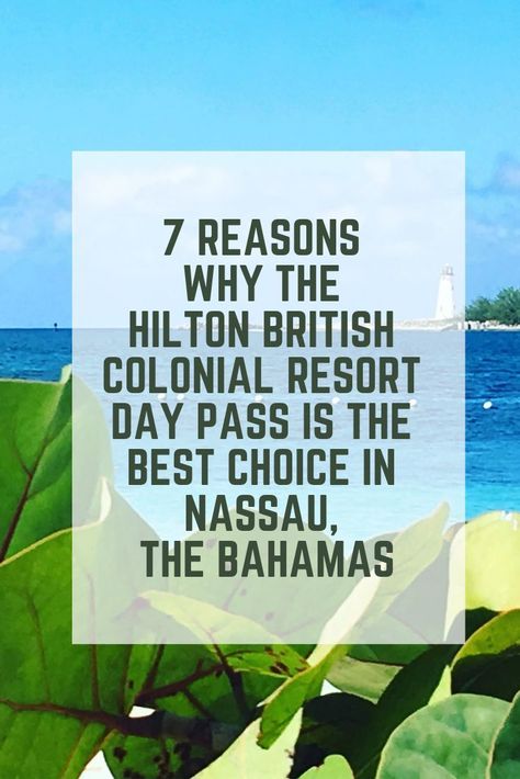 Bahamas Hotels, Travel Venice, Bahamas Resorts, Cruise Secrets, Bahamas Vacation, Cruise Planning, Cruise Excursions, Bahamas Cruise, Alaskan Cruise