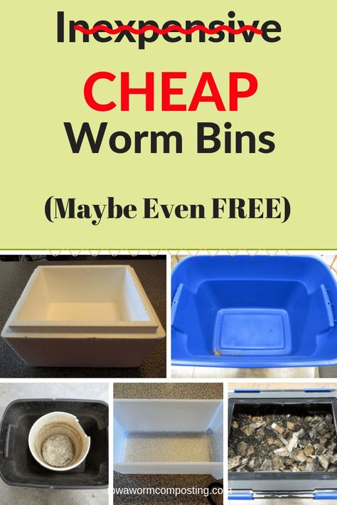 Who wants to spend a lot of money to start worm composting? Your first worm bin can be CHEAP....maybe even FREE! Let us show you how! Learn more at www.iowawormcomposting.com #iowawormcomposting.com #wormbin #wormcomposting Worm Farm Diy, Worm Bins, Worm Castings Tea, Worm Beds, Worm Composting Bin, Composting Ideas, Red Wiggler Worms, Helping Nature, Red Wigglers