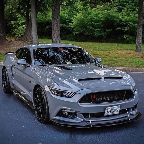 Saleen Mustang, Sports Cars Mustang, Shelby Mustang Gt500, Shelby Gt 500, Ford Mustang Shelby Gt, Dodge Cars, Mustang Bullitt, Mustang Gt500, Shelby Mustang