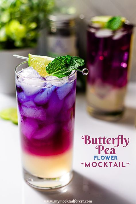 Are you a tea lover looking for a fun and unique mocktail? Try this butterfly pea flower tea mocktail! This pretty blue tea turns purplish pink when mixed with lime juice, fresh mint leaves, and Lyres White Cane Spirit. It's a delicious combination of sweet and tart, and sure to impress your guests. Tea Cup Cocktails, Butterfly Pea Flower Mocktail Recipe, Butterfly Pea Flower Mock Tail, Butterfly Pea Flower Tea Drinks, Butterfly Pea Mocktail Recipe, Flower Drinks Ideas, Pea Tea Butterfly, Butterfly Pea Flower Tea Cocktail, Butterfly Pea Tea Cocktail