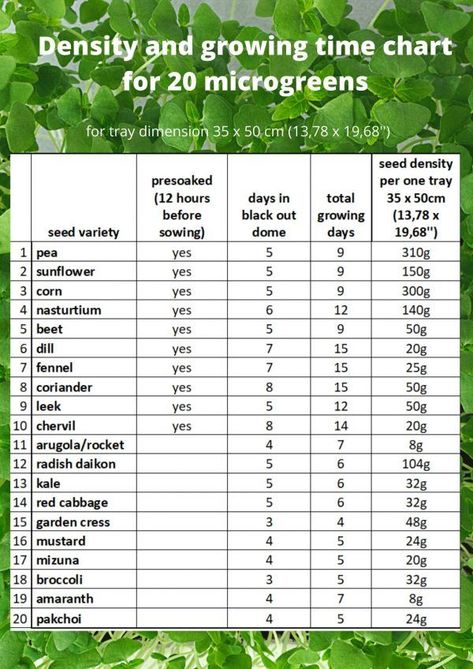 Feb 2, 2021 - We've looked a the best lights for growing microgreens and dove into different ways of how to grow them. Microgreens Growing, Microgreens Garden, Microgreens Recipe, Growing Sprouts, Micro Garden, Indoor Farming, Hydroponic Farming, Nutrition Chart, Growing Microgreens