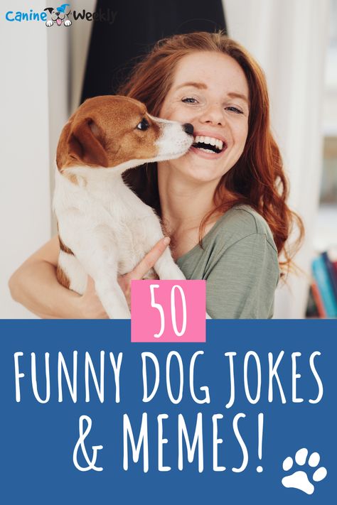 If you're looking for some funny dog jokes and memes, this is where you need to be! We have compiled 50 of the funniest dog jokes and memes to bring a smile to your face. #dogs #funny #dogmemes #dogjokes Images Of Dogs, Funny Dog Jokes, Top Dog Breeds, Deaf Dog, French Dogs, Dog Jokes, Dogs Funny, Raining Cats And Dogs, Funny Dog Memes