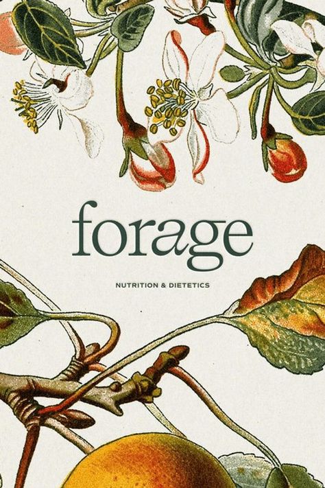 Forage Nutrition Project Showcase by Hello Magic Studio | Branding & Showit Website Design | For nutritionists, dietitians, therapists and photographers, branding business, small business branding, unique branding ideas, US branding service, New York branding service, Canada branding service, showcase project, branding project, branding design, elevated branding design, Showit website design, Forage Nutrition branding project, brand identity, branding strategy, visual branding, branding ideas Scientific Branding, Nutritionist Website, Nutritionist Logo, Nutritionist Branding, Graphic Designer Studio, Logo Branding Design, Nutrition Branding, Sign Logo, Designer Studio