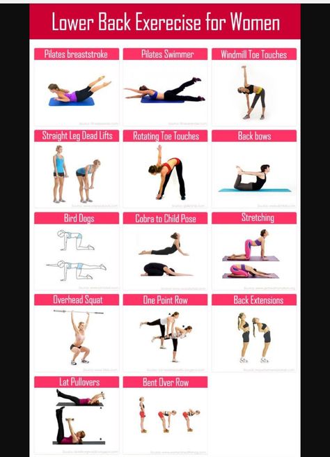 Lower Back Exercise, Back Exercises For Women, Back Workout For Women, Low Back Exercises, Back Strengthening Exercises, Back Exercise, Back Workout Women, Core Strengthening Exercises, Lower Back Muscles