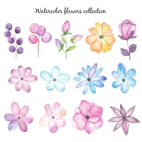 Watercolor flowers set Premium Vector | Premium Vector #Freepik #vector #background #flower #wedding #watercolor Flower Drawing Tutorials, Watercolor Beginner, Graphic Illustrations, Contemporary Designs, Easy Watercolor, Letter Art, Floral Illustrations, Watercolor Cards, Learn To Paint