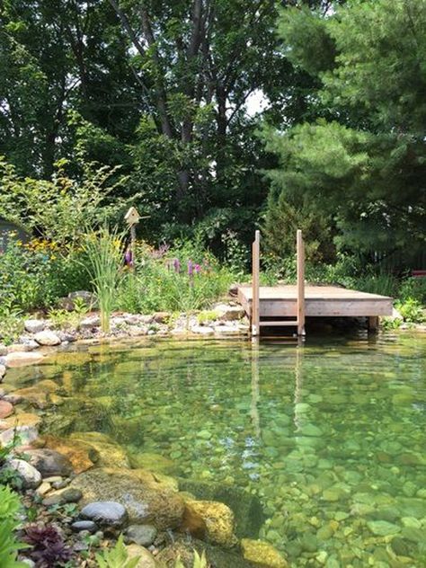 25 Natural Swimming Pool Designs For Your Small Backyard | HomeMydesign Swimming Ponds, Swimming Pool Pond, Kolam Koi, Natural Swimming Ponds, Amazing Backyard, Pool Chlorine, Swimming Pond, Natural Pond, Natural Swimming Pools