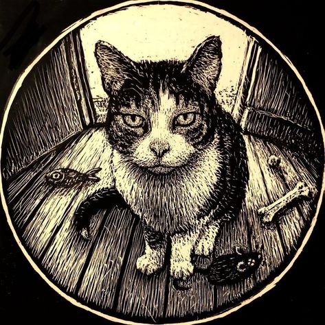 Decora Art, Black In White, Black And White Drawings, Cat Heaven, Round Wall Art, Cat Portrait, Art Cat, Arte Inspo, Cat Posters