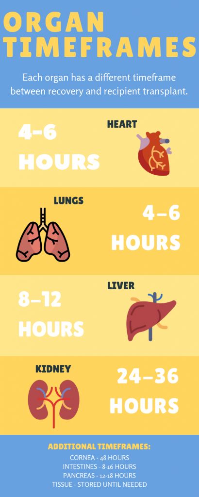 Organ Donation Poster, Kidney Donation, Organ Donation Awareness, Human Organ, Organ Donor, Organ Transplant, Organ Donation, Heart And Lungs, Easy Yoga