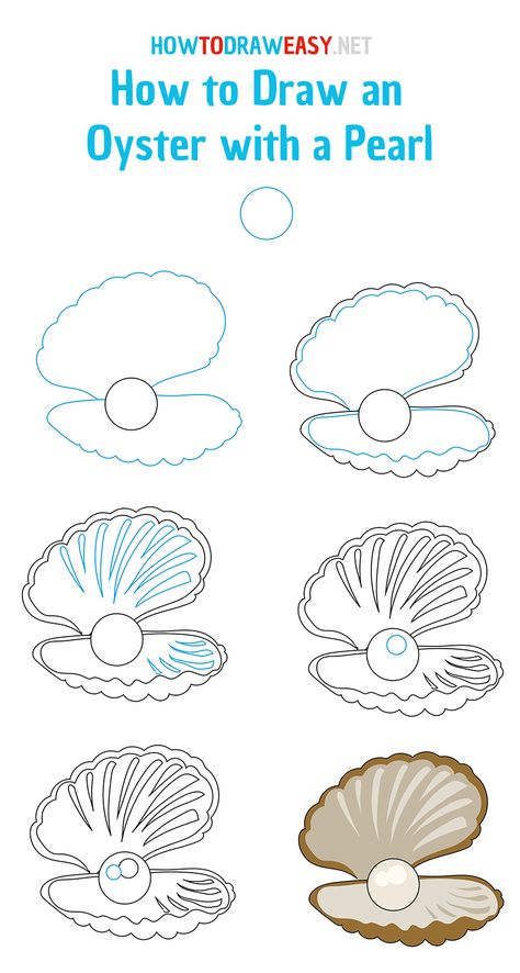 How to Draw an Oyster with a Pearl - How to Draw Easy Clam Drawing, Sea Shell With Pearl, Clam With Pearl, Pearl Drawing, Seashell Drawing, Shell With Pearl, Shell Drawing, Drawing Tutorials For Beginners, Creature Drawings