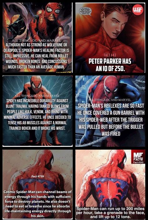 Spiderman facts marvel comics Spiderman Facts, Spider Verse Cosplay, Miles Morales Spider, Spider Man Spider, Miles Morales Spider Man, Man Spider, Into The Spider Verse, Spider Gwen, The Spider