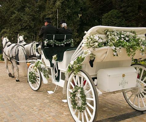 This horse and carriage with the greenery and ivory flowers is beautiful and goes with my colors. Wedding Carriage, Carriage Decorations, Horse And Carriage Wedding, Carriage Wedding, Driving Horses, Dove Release, Colin Cowie Wedding, Horse Drawn Carriage, Horse Wedding