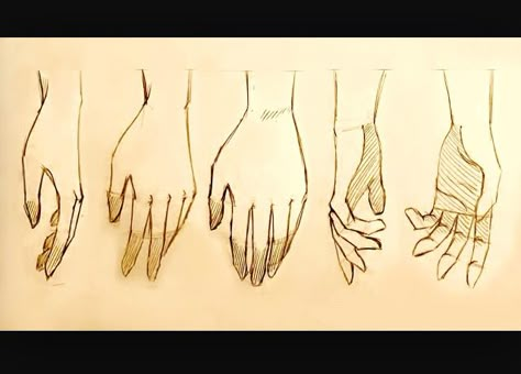 How to draw hands at sides/ resting hand positions  Drawing reference Drawing Anime Hands, Male Figure Drawing, Drawing Hands, Anime Hands, Hand Drawing Reference, Human Figure Drawing, Hand Reference, Anatomy Drawing, Hand Sketch