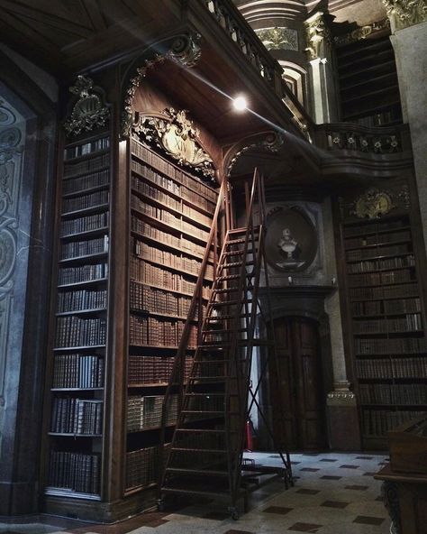 Malfoy Library, Castle Halls, Dark Acadamia, Royal Core, Dream Library, Old Library, Library Aesthetic, Hogwarts Aesthetic, Slytherin Aesthetic