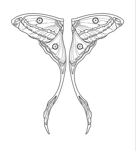 Moth Wings Character Design, Luna Moth Fairy Wings, Butterfly Wings Drawing Reference, Luna Moth Stencil, Luna Moth Wings Tattoo, Fairy Moth Wings, Moth Wing Design, Moth Wing Drawing Reference, Luna Moth Wings Drawing