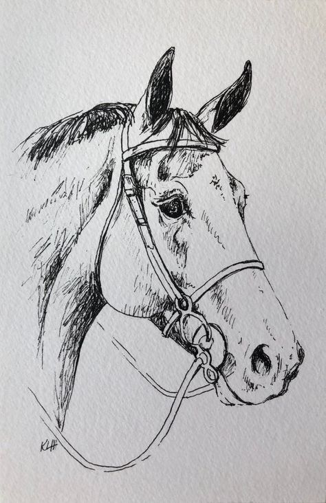 This is for a custom ink drawing of your horses head portrait. Multiple sizes are available. It will be drawn on slightly textured acid free watercolor paper. If you contact me, other papers may be possible, including colored. When you place the order, please send a clear photo of your horse. Youre Pro Drawings, Horse Pens, Horse Stencil, Watercolor Horse Painting, Ink Portrait, Painted Horses, Horse Sketch, Original Ink Drawing, Watercolor Horse