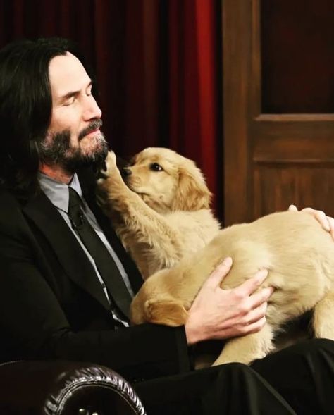 Keano Reeves, Keanu Reeves Life, Loving Man, Keanu Reeves John Wick, Trippy Visuals, Keanu Charles Reeves, God Help Me, Comic Movies, Pet Life