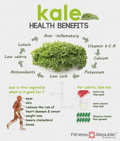 Health Benefits Of Kale, Kale Benefits, Benefits Of Kale, Kale Benefits Health, Nutrition Infographic, Nutrition Quotes, Low Fat Diets, Nutrition Education, Fitness Logo