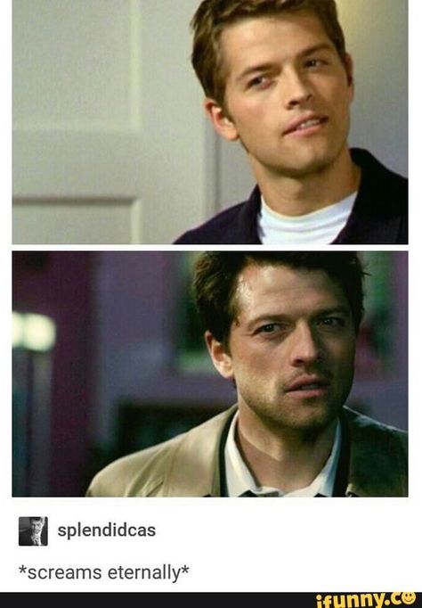 Spn Fandom, Supernatural Star, Funny Supernatural, Supernatural Actors, Castiel Supernatural, Jensen And Misha, Supernatural Pictures, Supernatural Destiel, Supernatural Memes