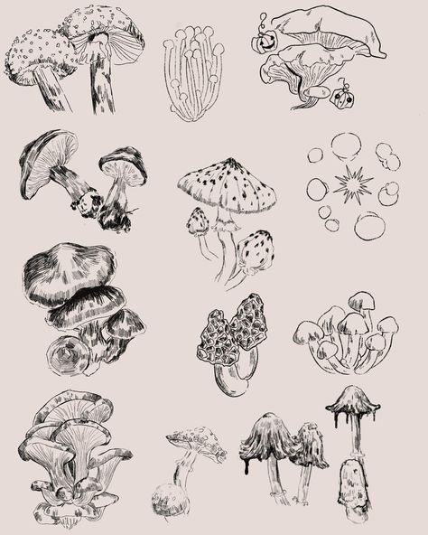 Mushroom Drawing Line Art, Black And Gray Mushroom Tattoo, Cottagecore Drawing Reference, Vintage Mushroom Tattoo, Line Work Mushroom Tattoo, Fineline Mushroom Tattoo, Mycology Tattoo, Ink Cap Mushroom Tattoo, Fern Mushroom Tattoo