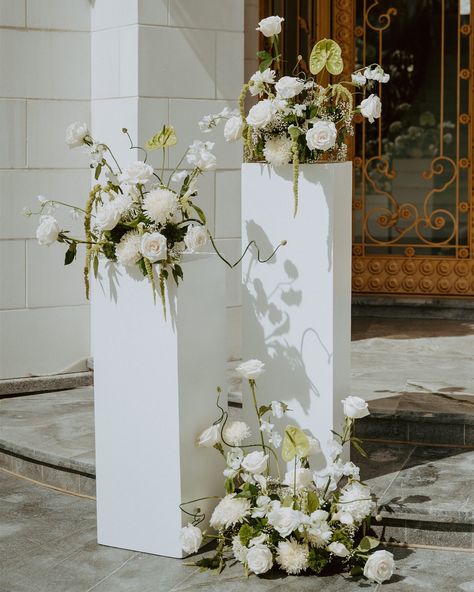 Dreaming of a fairytale wedding? These modern, minimalist floral pillars are the ultimate statement for your big day. Think timeless elegance meets contemporary chic. Perfect for the bride who wants to wow with sophisticated style.⁠ ⁠ Let’s make it happen with bespoke floral designs that reflect your unique vibe. Check out our link in bio for our wedding website!⁠ ⁠ ⁠ Host: @mvf.portraits⁠ Photos: @alyssarubyphotography⁠ Venue: @whiteswancastle⁠ Florals: @asteriaflorals⁠ MUA: @jasmineejulian⁠... Minimalist Wedding Ceremony Decor, Pillar Decorations Columns, Floral Pillars Wedding, Floral Pillars, Pillar Decor, Pillar Decorations, Wedding Columns, Wedding Pillars, White And Green Wedding