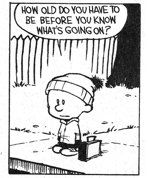 Calvin • How old do you have to be before you know what's going on? Feeling Crappy, Calvin Und Hobbes, Calvin And Hobbes Quotes, Calvin And Hobbes Comics, Bd Comics, Plunge Pool, Life Plan, Chocolate Factory, Calvin And Hobbes