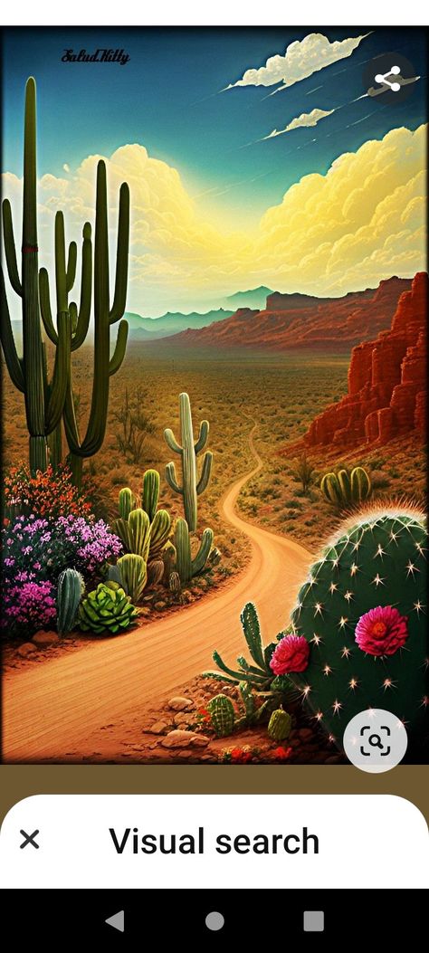 Desert Scene, Car Hacks, The Funny, A Car, Diamond Painting, Holiday Cards, Cactus, Christmas Cards, Hollywood