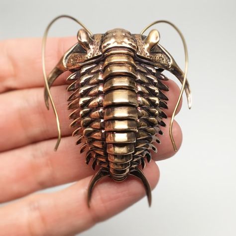 Alas, the humble trilobite will probably never star in its own Saturday morning cartoon or make it into next year's lineup of Beanie Babies, mostly because it i 3d Cnc, Gothic Steampunk, Insect Art, Charles Darwin, Bronze Sculpture, Metal Sculpture, 3d Printer, 3d Art, 3d Printed