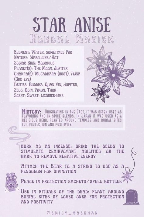 Star Anise Witchcraft Uses, Star Anise Meaning Witchcraft, Star Anise Spiritual Meaning, Magical Properties Of Star Anise, Magical Correspondences Herbs, Anise Star Magic, Saturday Magical Correspondences, Star Anise Witchcraft, Poppy Seed Magical Properties