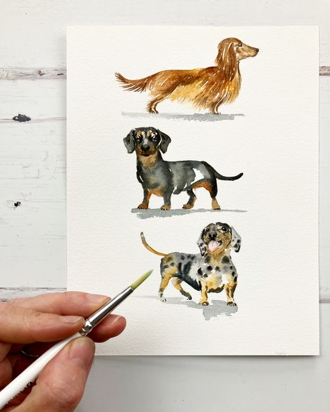 Watercolor Weiner Dog, Wiener Dog Watercolor, Dachshund Painting Acrylics, Sausage Dog Watercolour, Watercolor Dachshund Painting, Watercolour Dachshund, Watercolour Dogs, Cute Watercolor Animals, Chloe Art