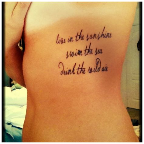 Live in the sunshine  Swim the sea  Drink the wild air Tattoos About Laughter, Emerson Tattoo, Drink The Wild Air, Valentines Quotes, Tech Tattoo, Horrible Tattoos, Master Tattoo, No Regrets Tattoo, Live In The Sunshine