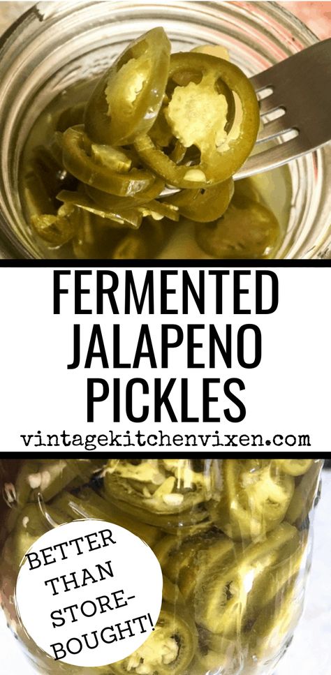 Fermented Jalapenos, Lacto Fermented, Fermented Pickles, Jalapeno Recipes, Probiotic Benefits, Gut Health Recipes, Fermentation Recipes, Fermented Vegetables, Pickling Jalapenos