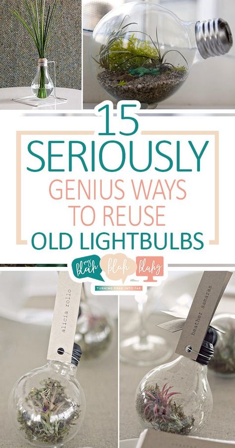 15 Seriously Genius Ways to Reuse Old Lightbulbs • My Blah Blah Blahg Recycled Light Bulbs, Diy Light Bulb, Repurpose Projects, Light Bulb Art, Recycling Projects, Light Bulb Crafts, Small Terrarium, How To Recycle, Hanging Vases