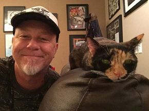 James Hetfield and his cat Frankie is hot James Metallica, Celebrities With Cats, Metallica Art, Jason Newsted, Fish Cat Toy, Kirk Hammett, James Hetfield, With My Friends, New Rock