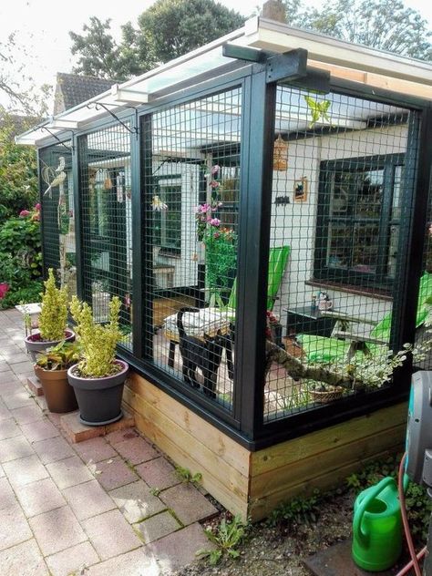 a cozy and chic cat enclosure with potted blooms and greenery, trees, outdoor furniture for a cat to enjoy Enclosed Deck, Communicable Diseases, Katt Diy, Cat Enclosures, Balkon Decor, Cat Patio, Outdoor Cat Enclosure, Outdoor Cat House, A Small House