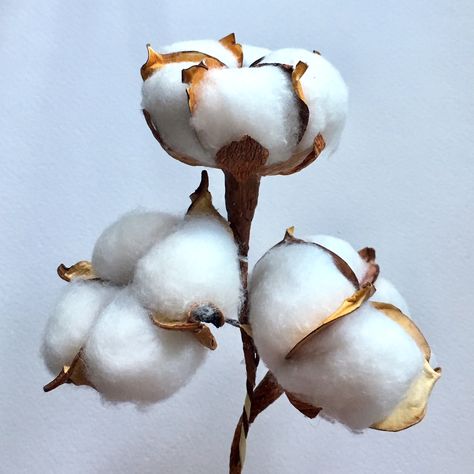 Diy Cotton Flowers, Cotton Stems, Cotton Plant, Cotton Flower, White On White, Paper Heart, Watercolour Paper, Cotton Ball, Crepe Paper