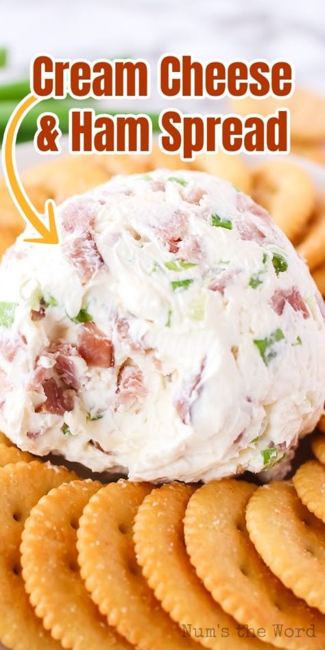 Appetizers With Leftover Ham, Diced Ham Appetizers, Deep Fried Ham And Cheese Balls, Cream Cheese Ham Green Onion Dip, Ham And Cheese Balls Recipe, Country Ham Cheese Ball, Ham Finger Food, Deviled Ham Dip With Cream Cheese, Cream Cheese And Ham Dip