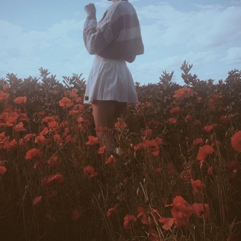 Flower, vintage, aesthetic, poppy field Imogen Core Aesthetic, Faye Core Aesthetic, Poppycore Aesthetic, Poppy Aesthetic Flower, Quinn Core Aesthetic, Quinncore Aesthetic, Lydia Core Aesthetic, Poppy Field Aesthetic, Lydiacore Aesthetic